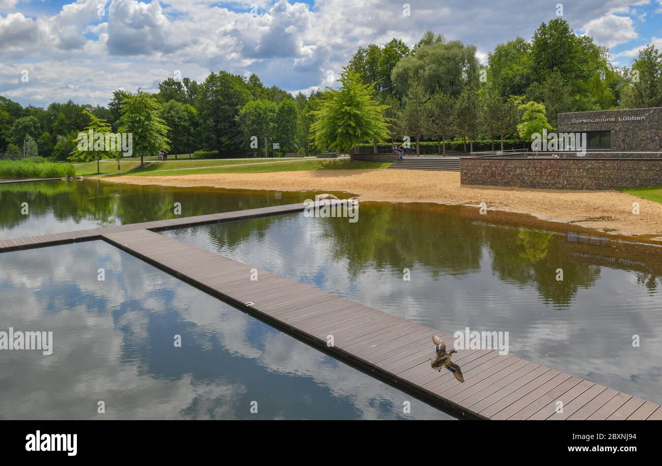 08 juin 2020, Brandebourg, Lübben: La zone de baignade 'Spreelagune Lübben'. Cette zone de baignade a échoué à un test récent de la qualité de l'eau des lacs et des rivières cette année. Celui qui est à la recherche de se rafraîchir dans les lacs, les rivières et les côtes allemands cet été peut se réjouit à la recherche d'une qualité d'eau principalement excellente. Seuls huit des 2291 sites de baignade allemands étudiés ont échoué cette année à l'évaluation annuelle car trop de bactéries douteuses avaient été découvertes dans l'eau. Photo: Patrick Pleul/dpa-Zentralbild/ZB Banque D'Images