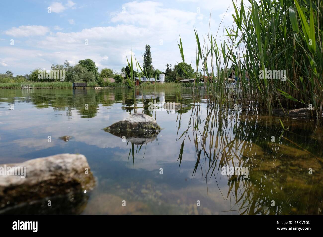 Aseleben, Allemagne. 08 juin 2020. La rive du lac doux dans la terre de Mansfelder. Le rapport annuel sur les eaux de baignade critiquait ce lieu de baignade. Dans le rapport annuel sur les eaux de baignade, ce lieu de baignade a été critiqué. Ceux qui cherchent le refroidissement cet été dans les lacs, les rivières et les côtes allemands, peuvent se tourner vers une qualité d'eau généralement excellente. Seulement huit des 2291 sites de baignade allemands étudiés ont échoué cette fois dans l'évaluation annuelle parce que trop de bactéries douteuses ont été découvertes dans l'eau. Credit: Sebastian Willnow/dpa-Zentralbild/dpa/Alay Live News Banque D'Images