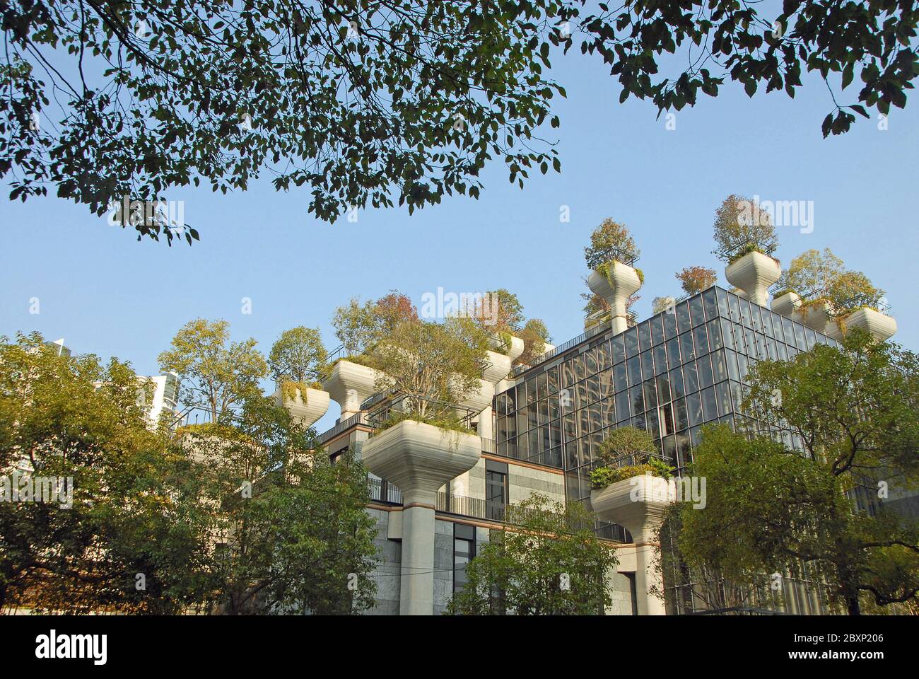 1000 complexes d'arbres à Shanghai, Chine. 1000 Trees est un bâtiment moderne à usage multiple couvert d'arbres à Shanghai conçu par Heatherwick Studio. Banque D'Images