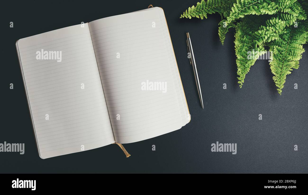 vue ci-dessus du carnet ouvert avec pages vierges sur bureau sombre avec stylo et plante en pot Banque D'Images