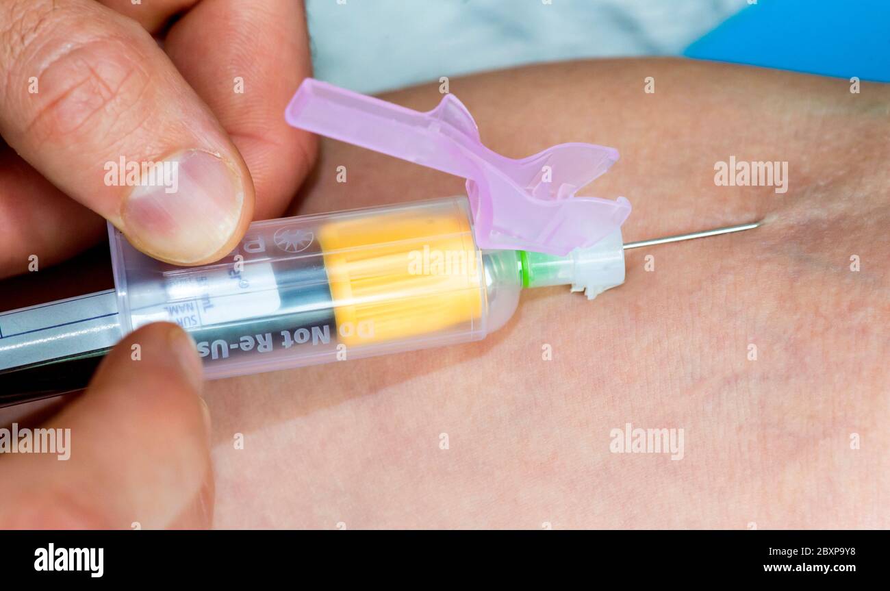 Un médecin prélève un échantillon de sang dans le bras d'un patient Banque D'Images