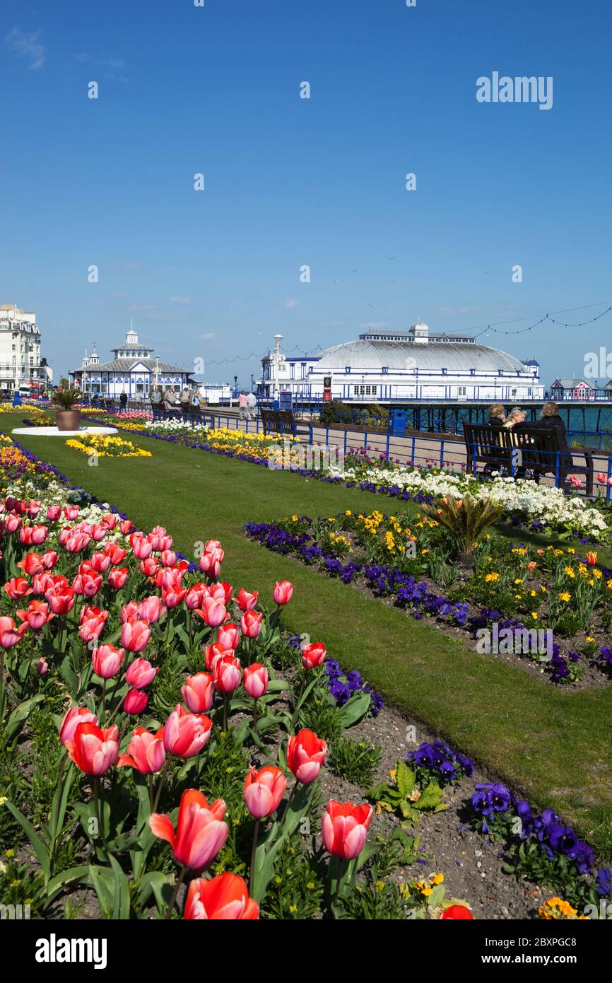 Vue sur les jardins de la Promenade jusqu'à Eastbourne Pier à Spring, Eastbourne, East Sussex, Angleterre, Royaume-Uni Banque D'Images