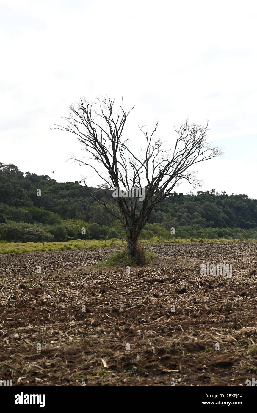 La terre ferme Banque D'Images