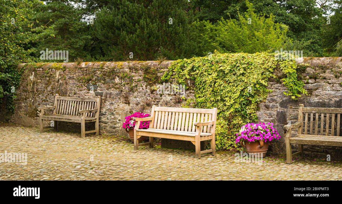 Bancs en bois vides sur un chemin en pierre et à côté d'un mur dans un village en Irlande. Banque D'Images