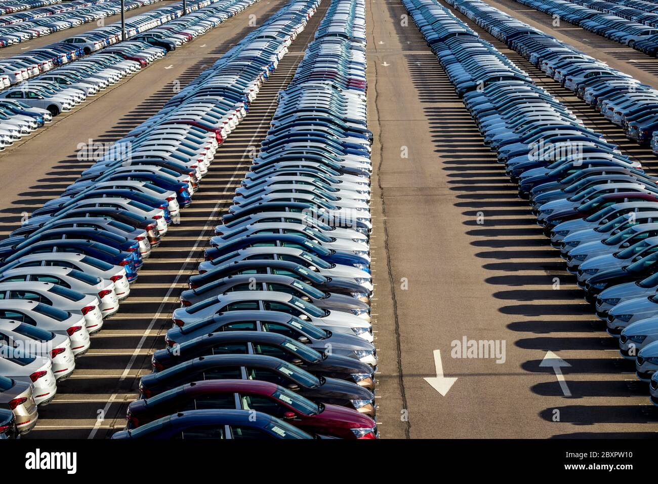 Rangées d'une nouvelle voiture garées dans un centre de distribution sur une usine de voitures par temps ensoleillé. Vue de dessus du stationnement en plein air. Banque D'Images