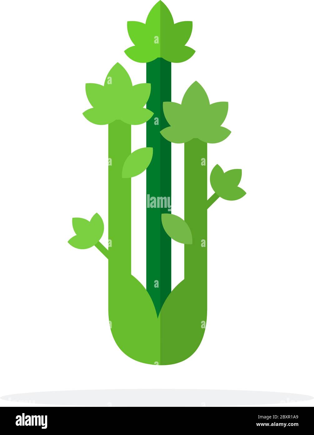 Variété de brocoli et d'asperges vecteur plat objet de conception de matériau. Illustration de Vecteur