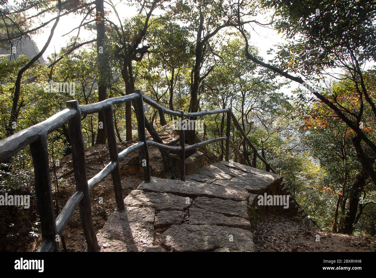 Huangshan Mountain dans la province d'Anhui, Chine. Chemin à travers la forêt entre le pont Sanxi et le pont de randonnée Fairy sur Huangshan. Banque D'Images