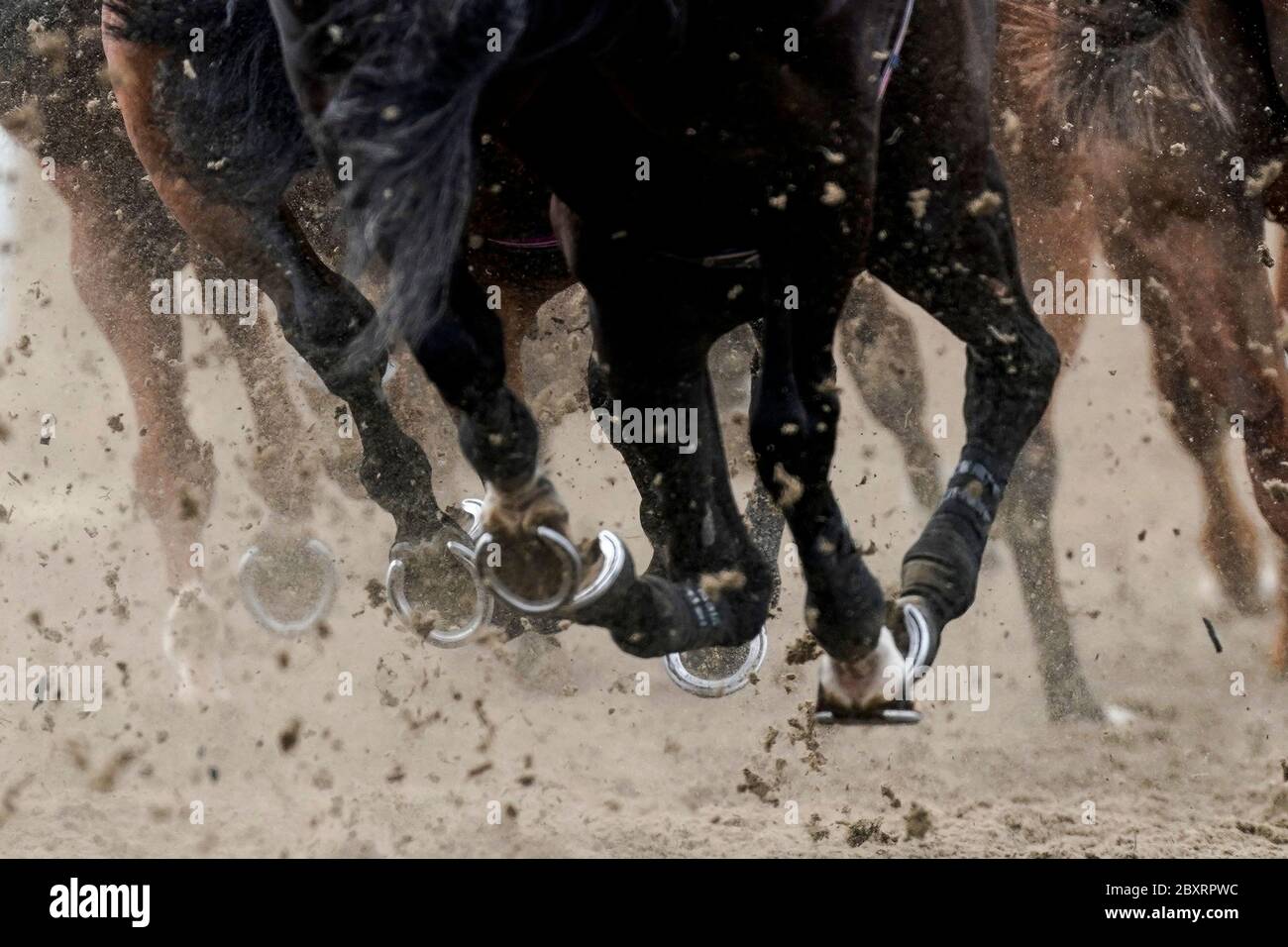 Les coureurs redonnent la surface de Polytrack en se tournant vers l'arrière tout droit à l'hippodrome de Chelmsford City. Banque D'Images