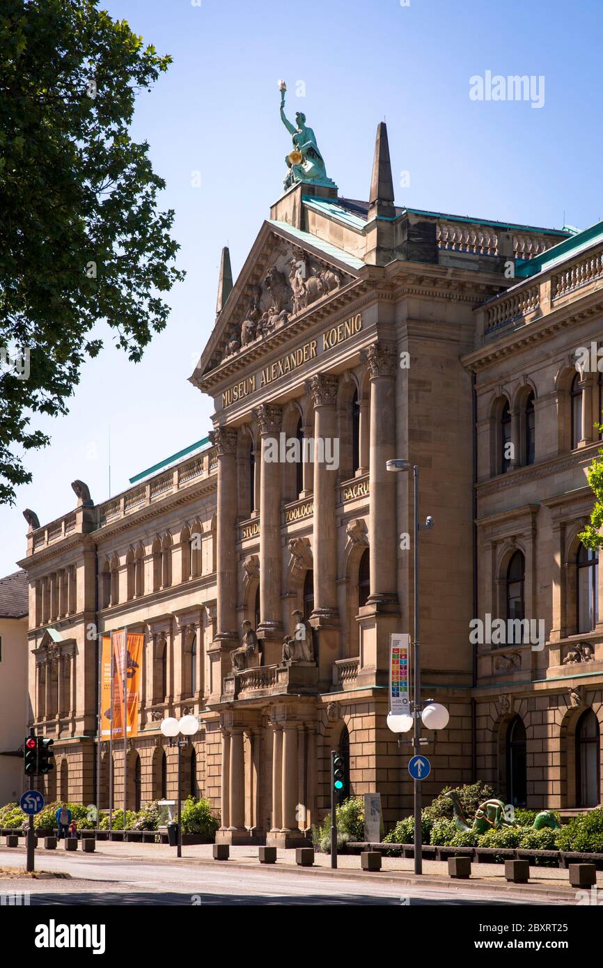 Le Musée d'Histoire naturelle Alexander Koenig sur Adenauer Allee, Rhénanie-du-Nord-Westphalie, Bonn, Allemagne. das Naturakundemuseum Alexander Koenig an der ad Banque D'Images