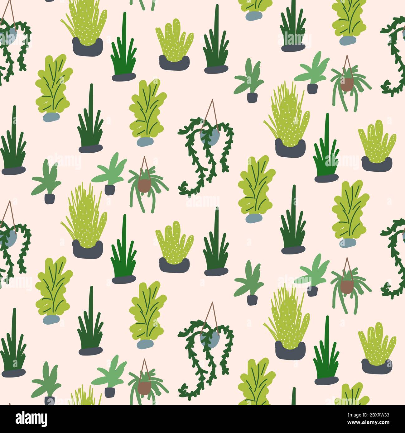 Motif sans couture pour illustration vectorielle de la maison. Plantes succulentes et vertes dessinées à la main. Illustration de Vecteur