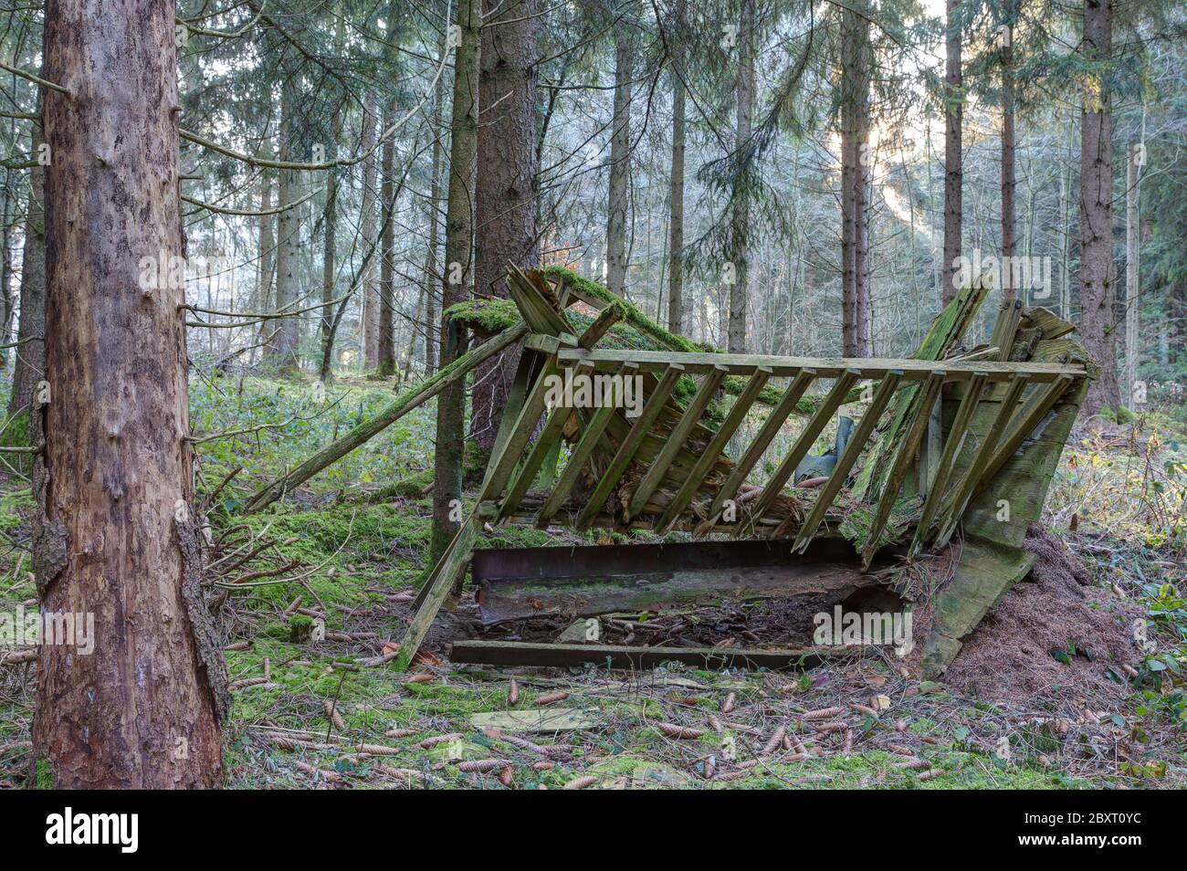 Berceau de nourriture, relique d'une époque révolue où il y avait encore de la place pour des cerfs dans les forêts allemandes. Banque D'Images
