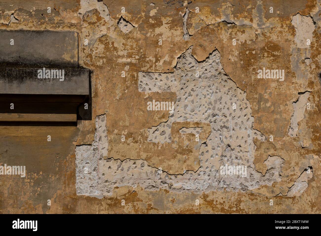 Façade jaune d'un ancien manoir abandonné. Pelée de couleur du mur créant une forme abstraite d'un loup. Jabloca, Slovaquie. Banque D'Images