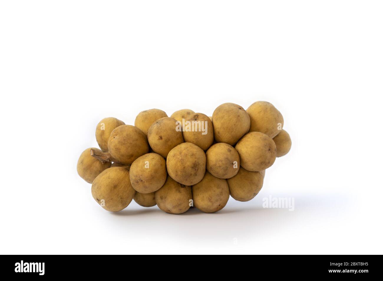 Longkong (Dokoo, Duku, Dokong, Langsat) est un fruit de la même espèce que le langsat avec une peau épaisse mais sans résine et goût plus doux, sur fond blanc Banque D'Images