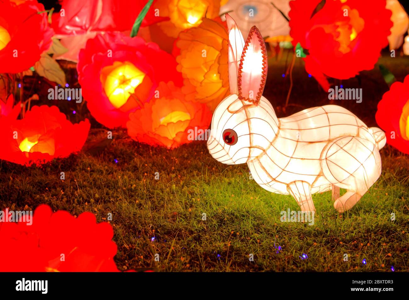 Lanterne de lapin pour le festival chinois de la mi-automne Banque D'Images
