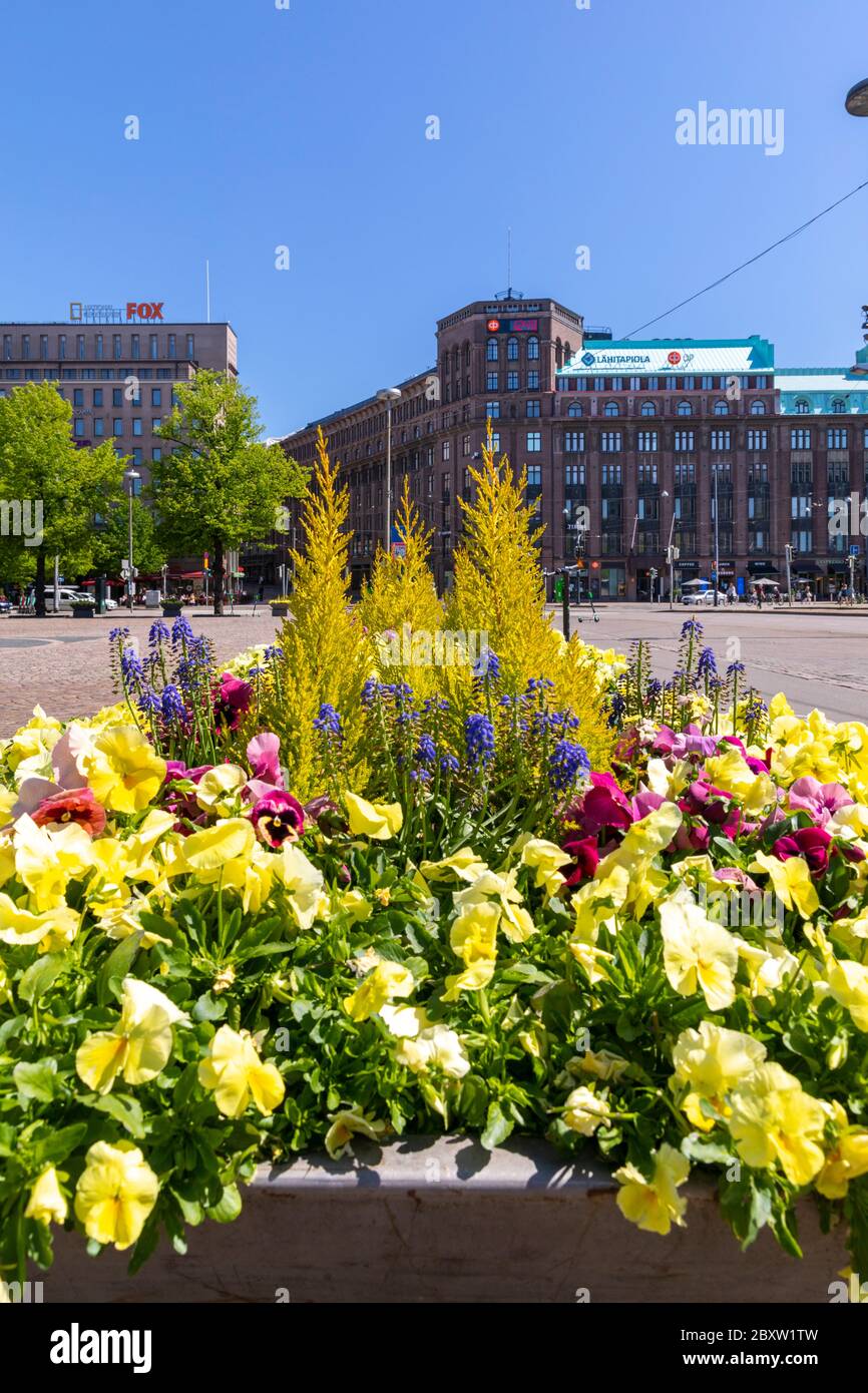 Le centre-ville d'Helsinki est décoré avec des arrangements floraux pour la saison estivale. Cela rend le quartier du centre-ville plus vert et plus vivant pour les habitants et les touristes. Banque D'Images