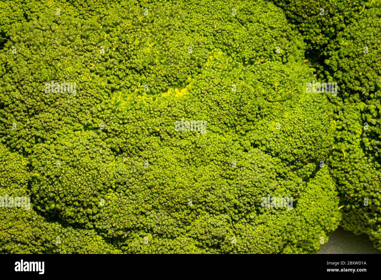 Brocoli vu de près Banque D'Images