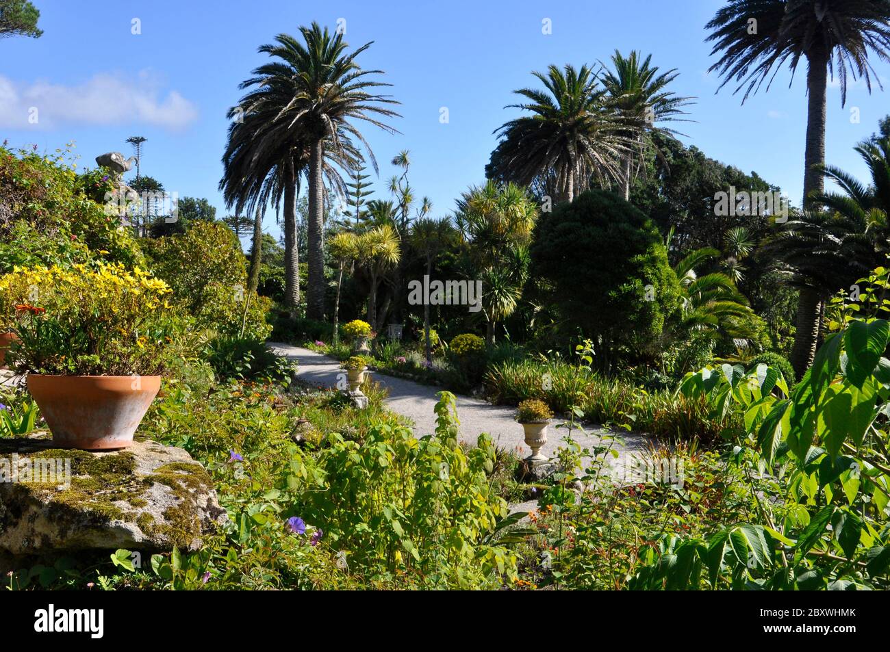 Une vue sur la végétation luxuriante subtropicale des jardins de l'abbaye de Tresco une des cinq îles habitées dans les îles de Scilly Banque D'Images