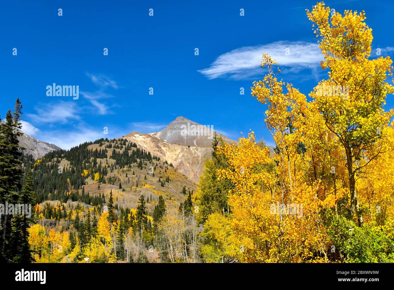 Magnifiques couleurs d'automne dans la Skyway de San Juan, forêt nationale d'Uncompahgre au Colorado. Banque D'Images