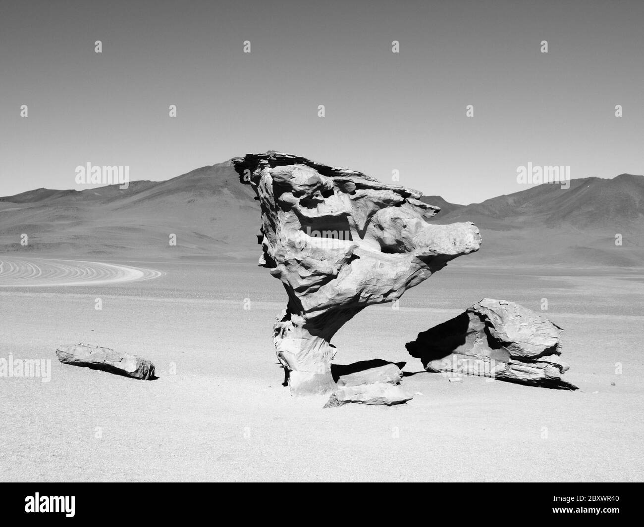 Formation de roche d'arbre de pierre dans le paysage désertique d'Altiplano avec ciel bleu, Bolivie, image noir et blanc Banque D'Images