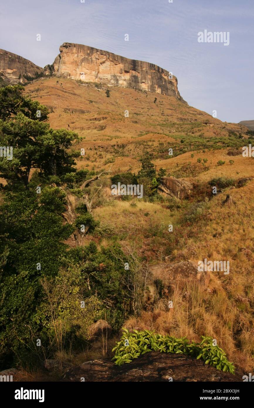 Drakensberg-Afrique du Sud Banque D'Images