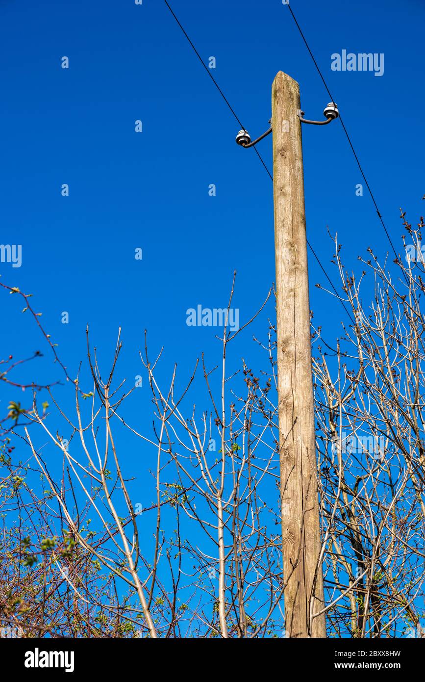 Poteau électrique en bois avec deux lignes devant le ciel bleu Banque D'Images