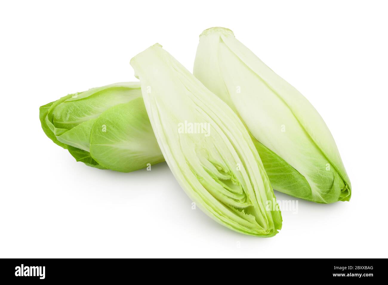 Salade de chicorée isolée sur fond blanc avec chemin de découpe et profondeur de champ complète. Banque D'Images