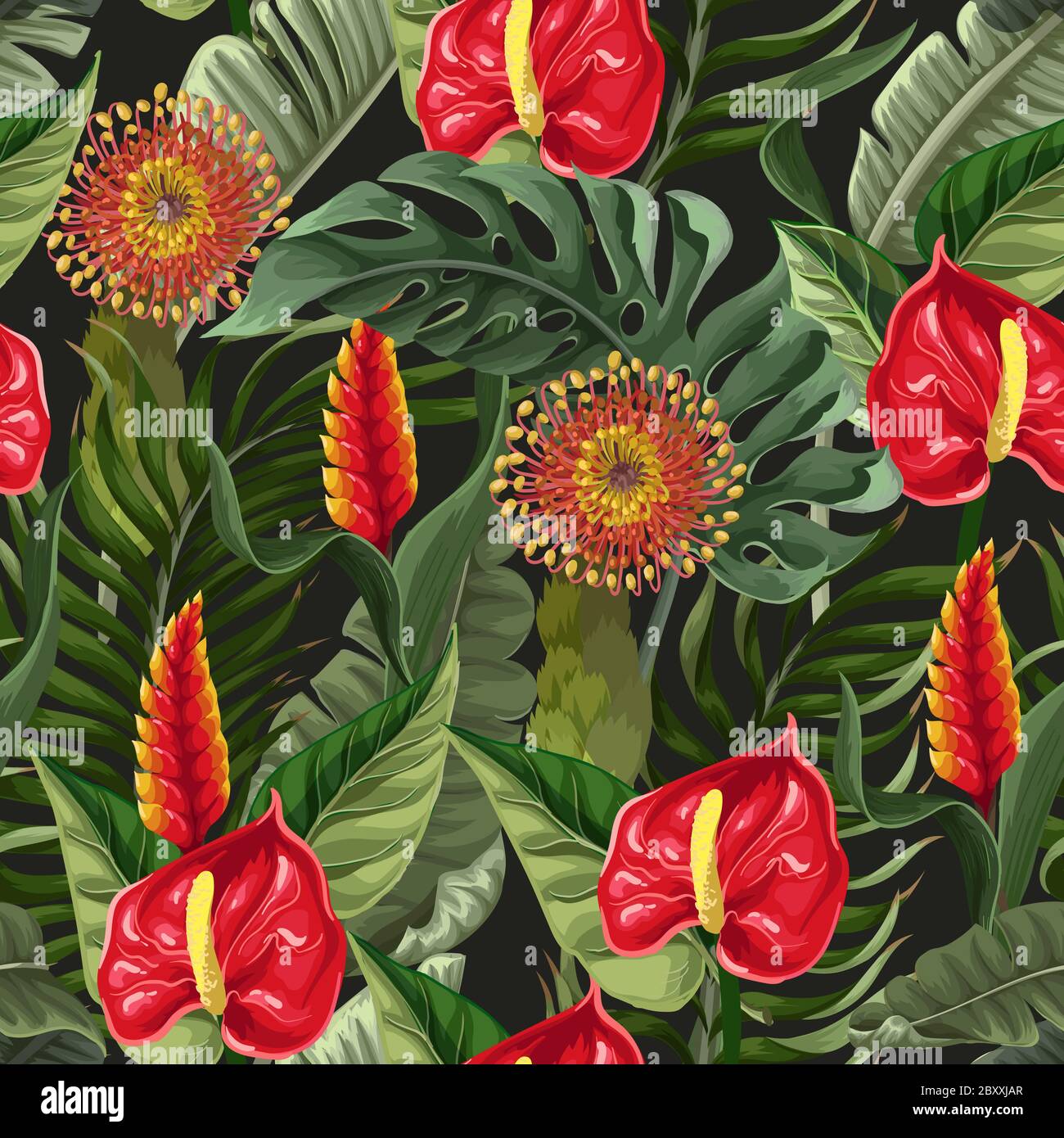 Motif sans couture avec anthuriums et feuilles tropicales. Vecteur. Illustration de Vecteur