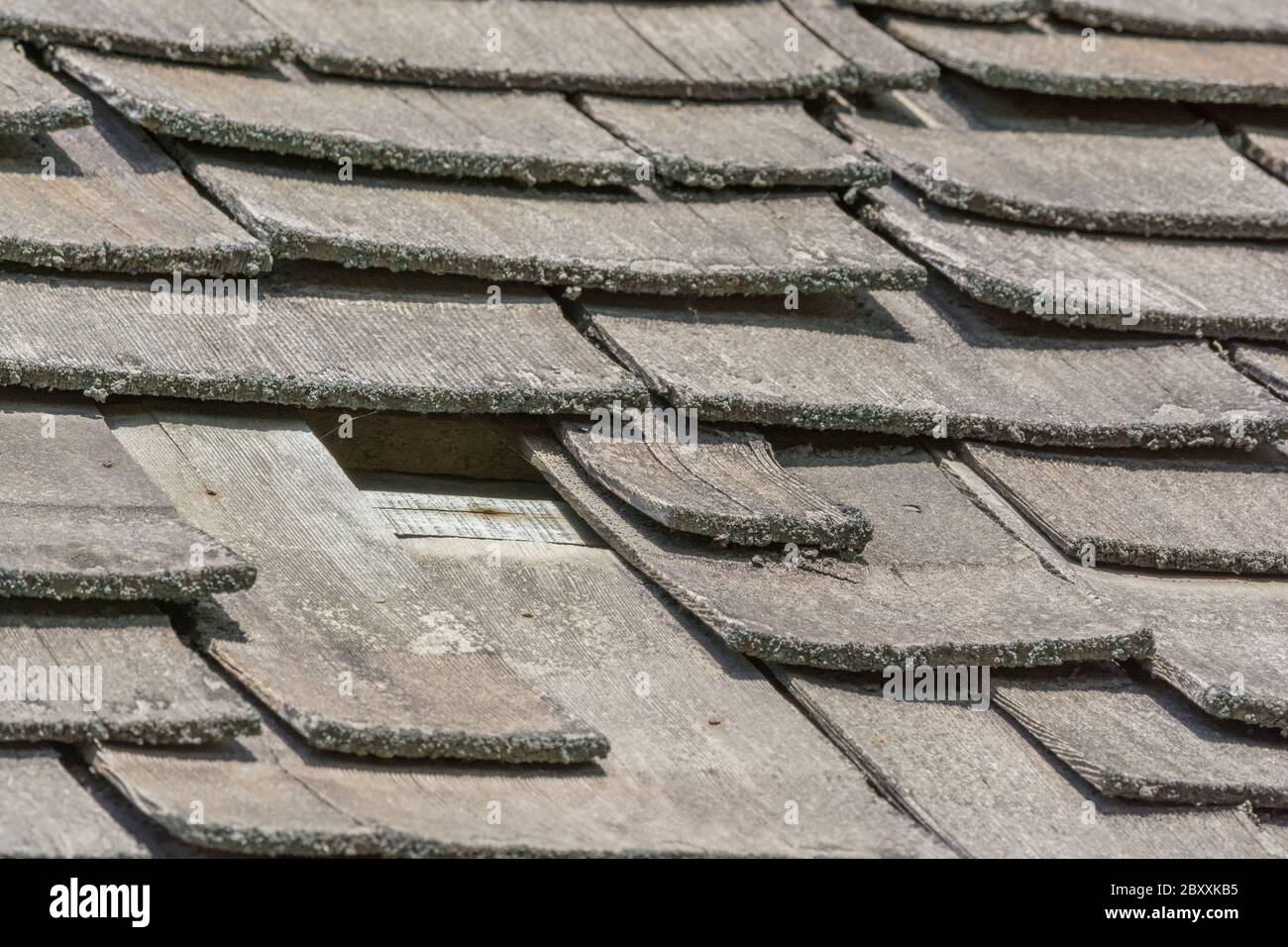 Le vent et la pluie ont endommagé le vieux bois bardeaux / le toit de bois secoué en mauvais état, en mauvais état et doit être remplacé. Idiom a eu une ardoise lâche, et maladie mentale. Banque D'Images