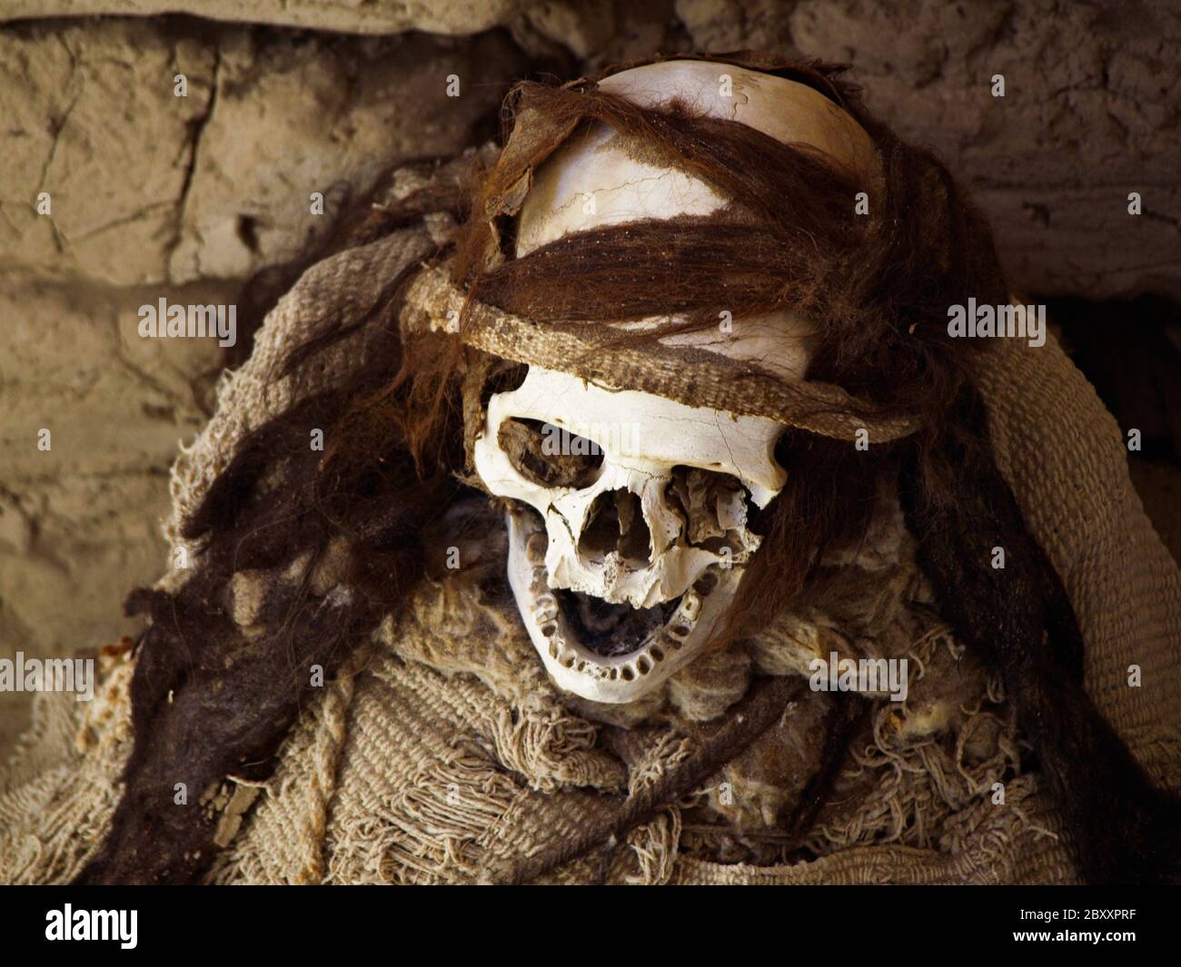 Momie pré-incan dans le site archéologique de Chauchilla, Nazca, Pérou. Banque D'Images