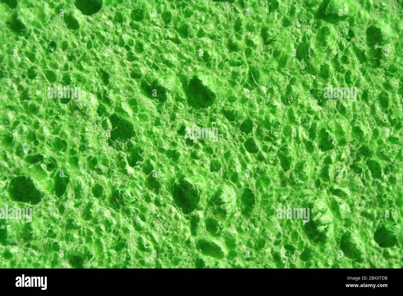 Une éponge verte abstract background Banque D'Images