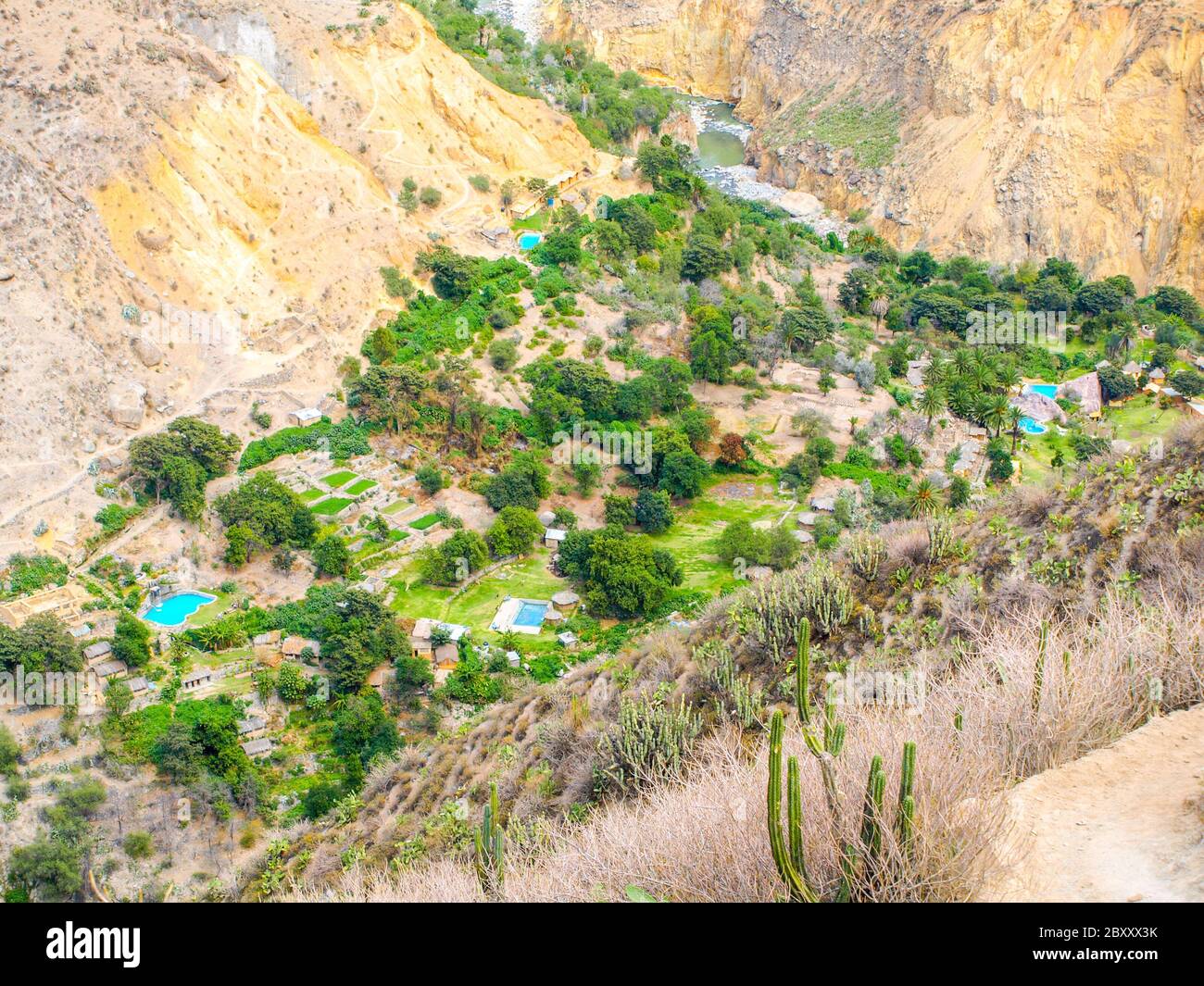 Oasis de verdure avec piscines bleues au fond du canyon de Colca au Pérou. Banque D'Images