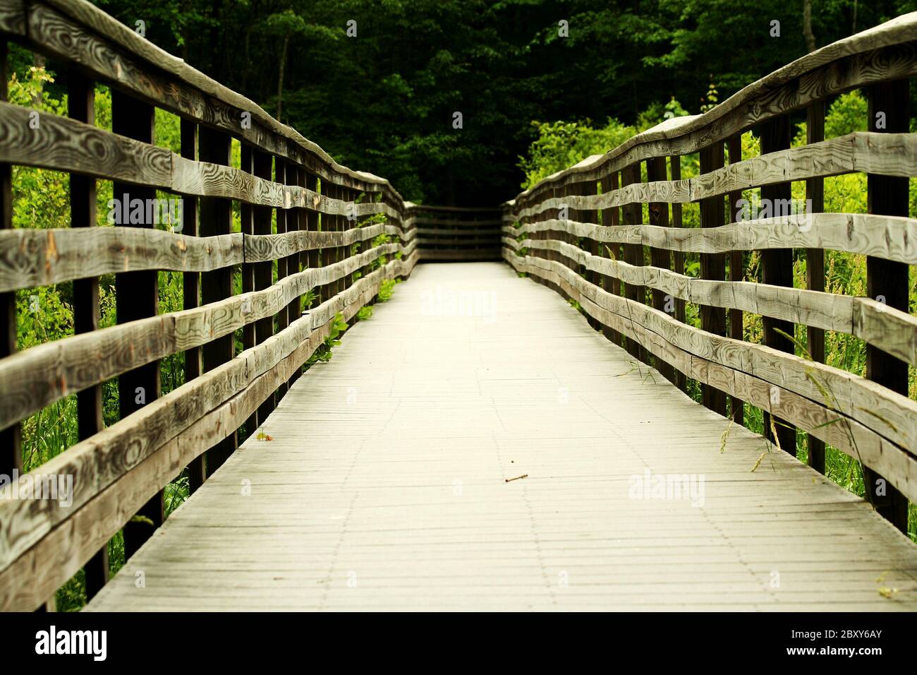 Un pont de bois à travers la forêt Banque D'Images