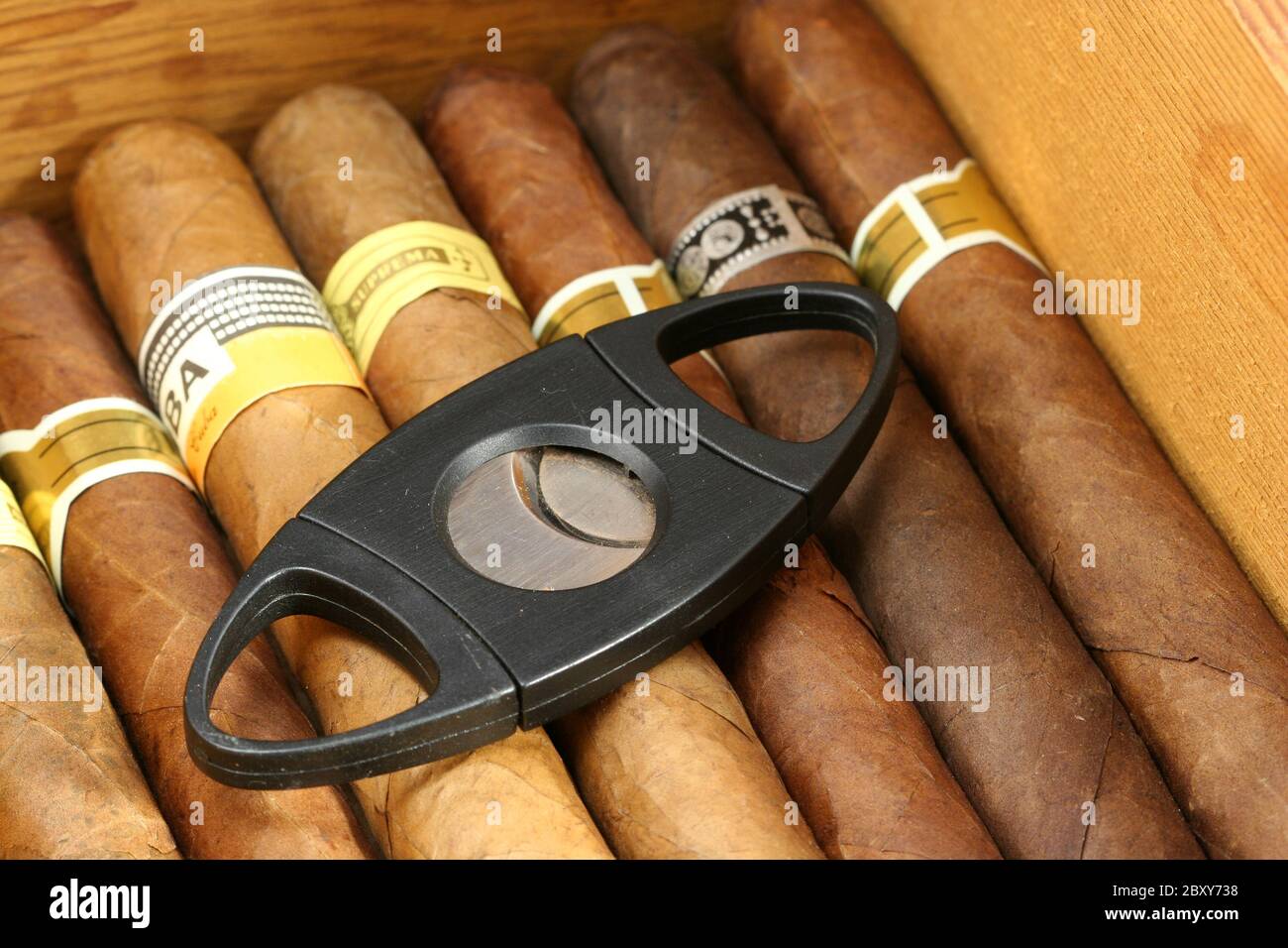 Les cigares et la faucheuse dans un humidor close up Banque D'Images