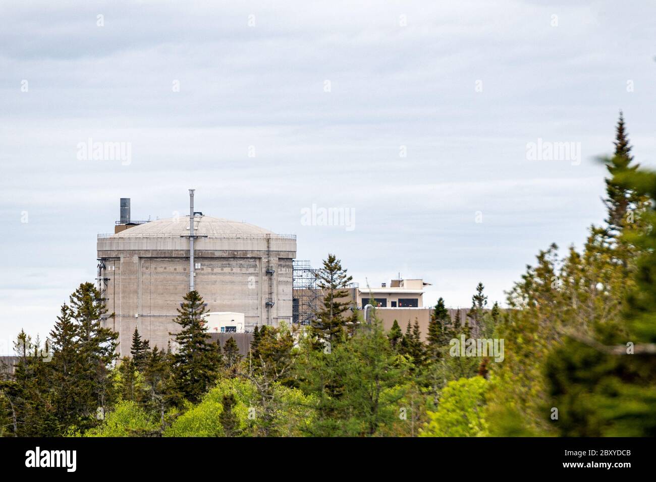Une vue lointaine de la centrale nucléaire de point Lepreau à travers les bois. La plupart des réacteurs sont visibles, mais le fond est masqué par des arbres. Banque D'Images