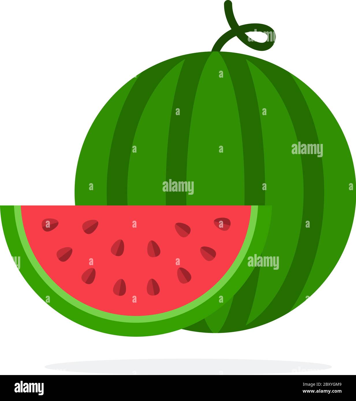 La pastèque et une tranche de melon d'eau Illustration de Vecteur