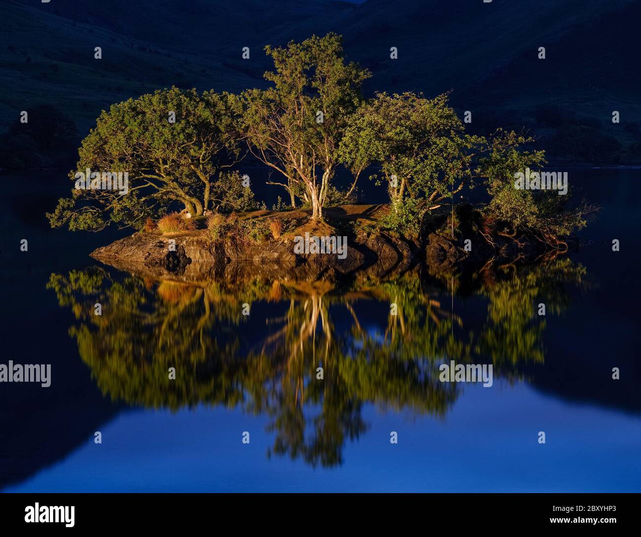 Woodhouse Islands, Crummock Water, Lake District, Royaume-Uni Banque D'Images