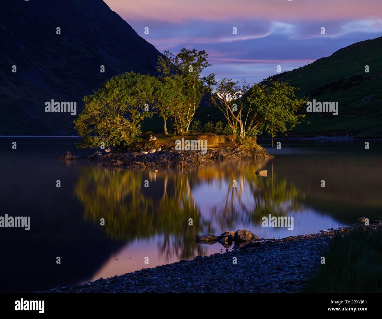 Woodhouse Islands, Crummock Water, Lake District, Royaume-Uni Banque D'Images