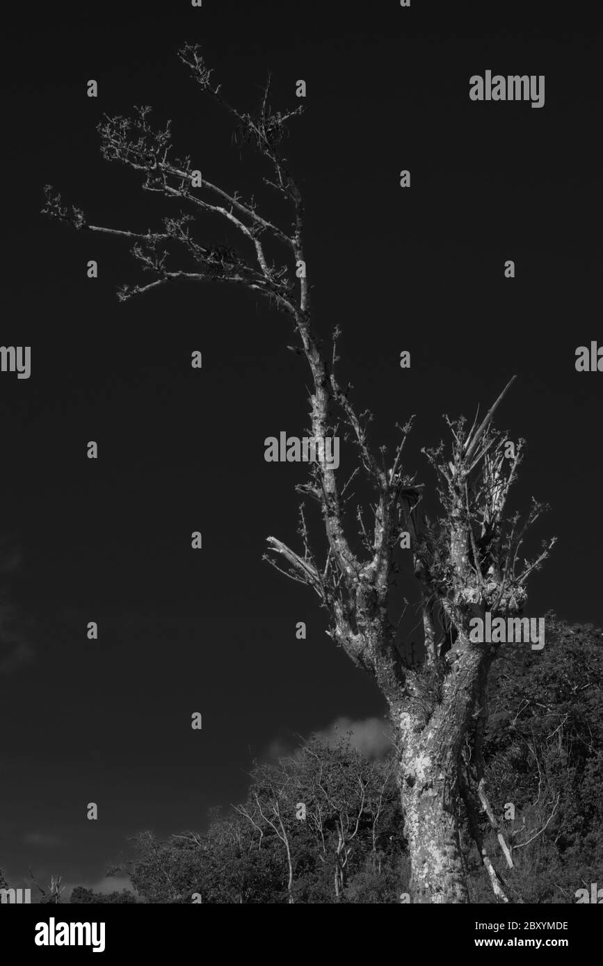 Magnifique Porto Rico Banque D'Images