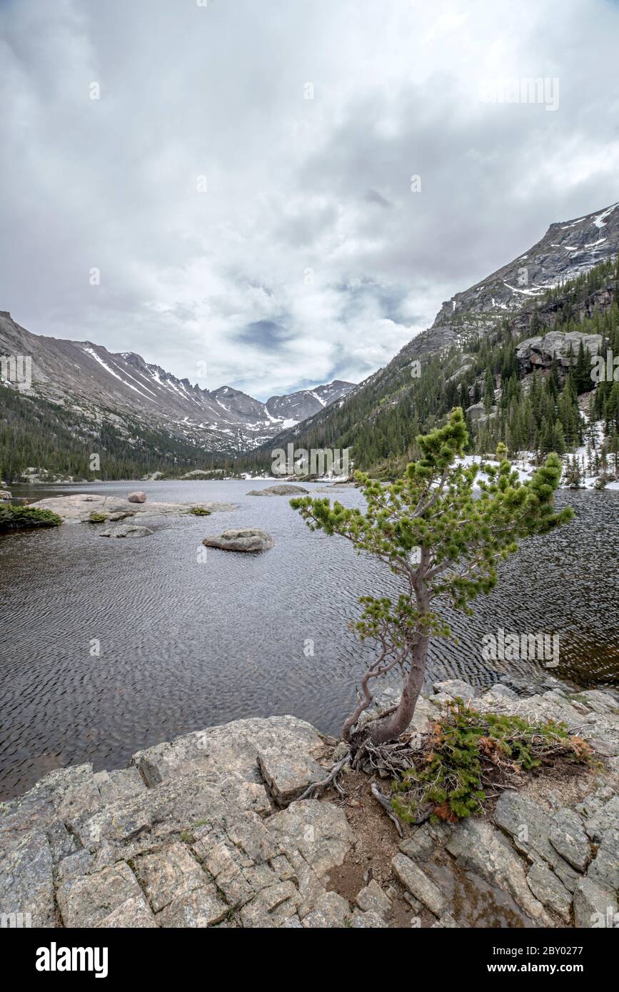 Lac alpin de Mill's Pond dans le parc national des montagnes Rocheuses avec un rocher, un arbre ou un moudefall dans le parc forestier et nuages et montagnes en arrière-plan Banque D'Images