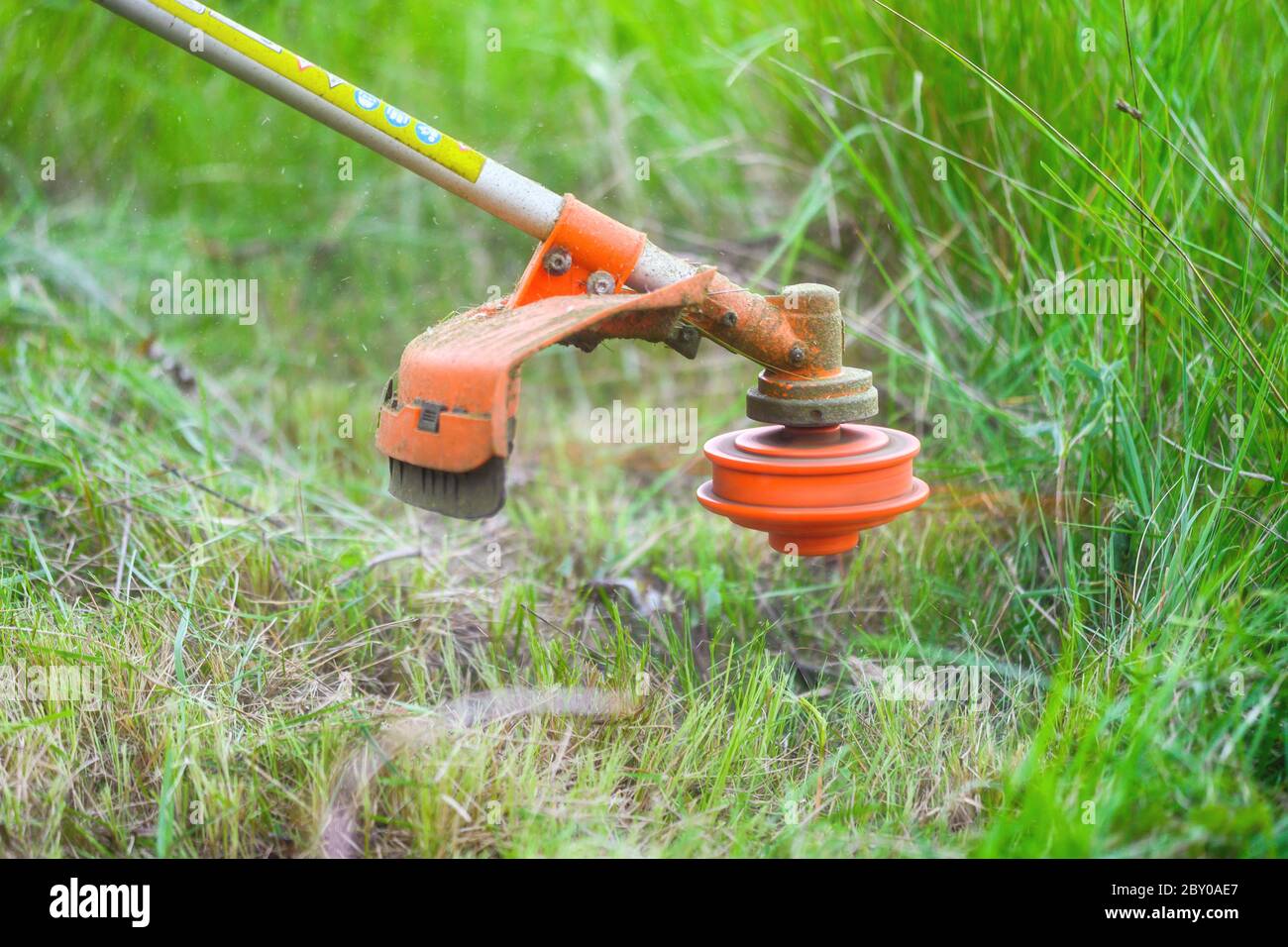 Jardinier fauchant de l'herbe à l'aide d'un couteau à brosse dans le jardin en gros plan . Banque D'Images