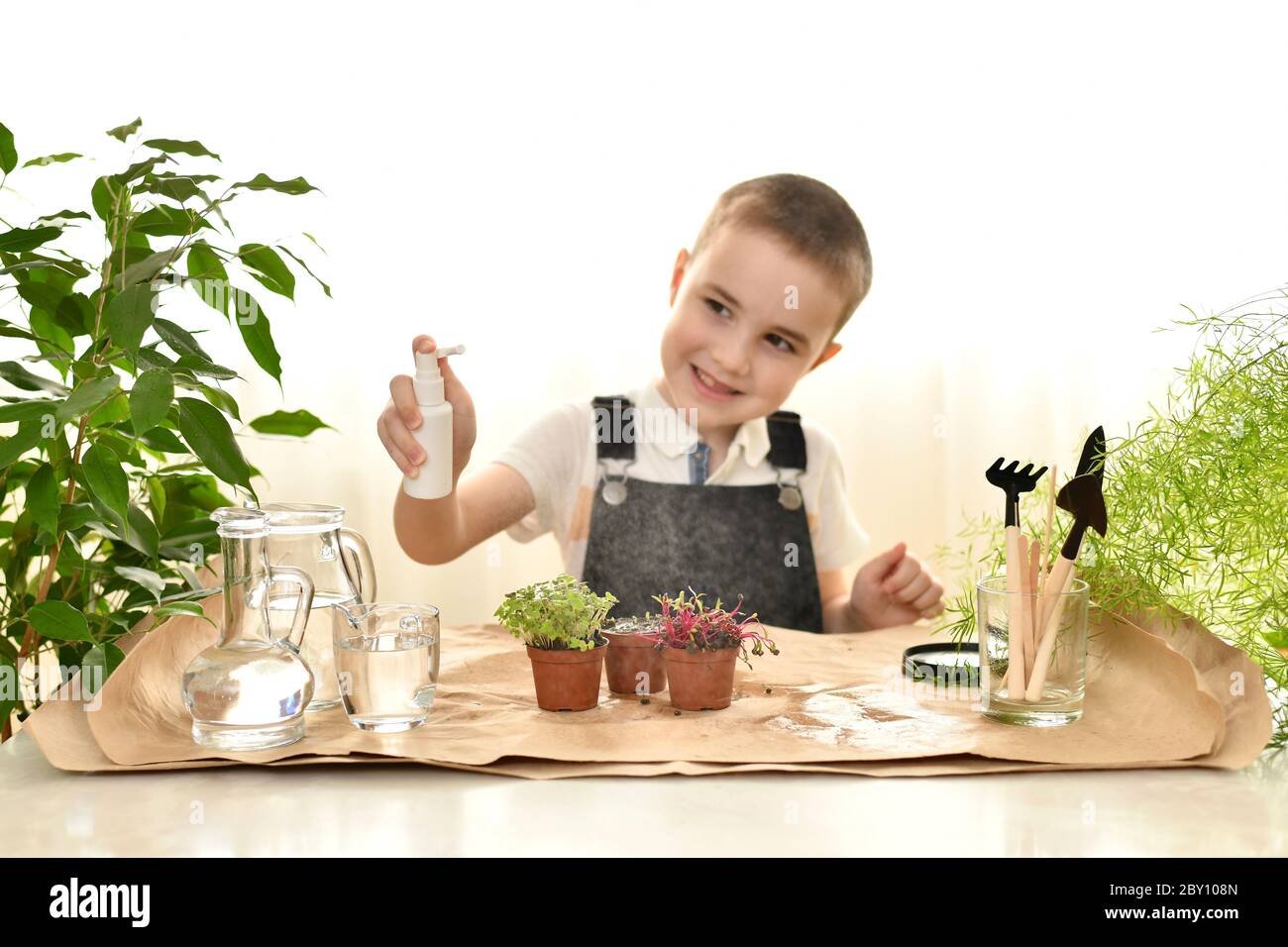 Prenez soin des micro-légumes dans les pots. L'enfant qui s'intéresse regarde avec joie la conception du pulvérisateur. Banque D'Images