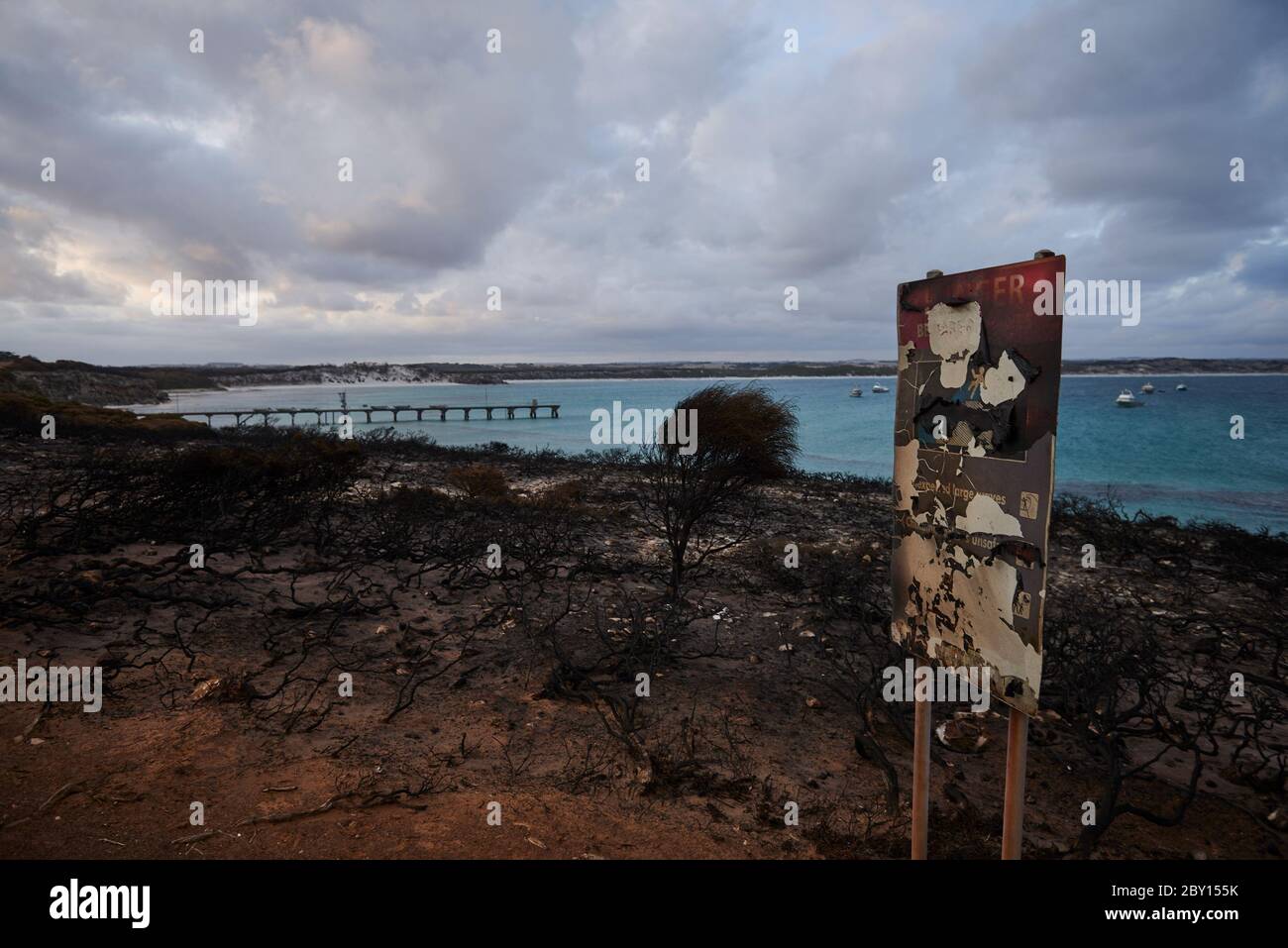 Le paysage dévasté de Kangaroo Island redonne lentement vie à la fin de février 2020. Banque D'Images