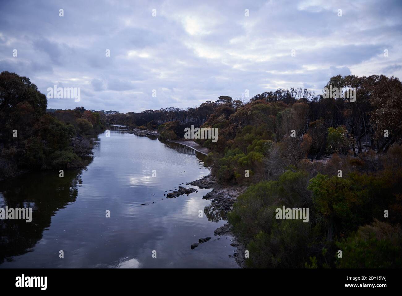 Le paysage dévasté de Kangaroo Island redonne lentement vie à la fin de février 2020. Banque D'Images