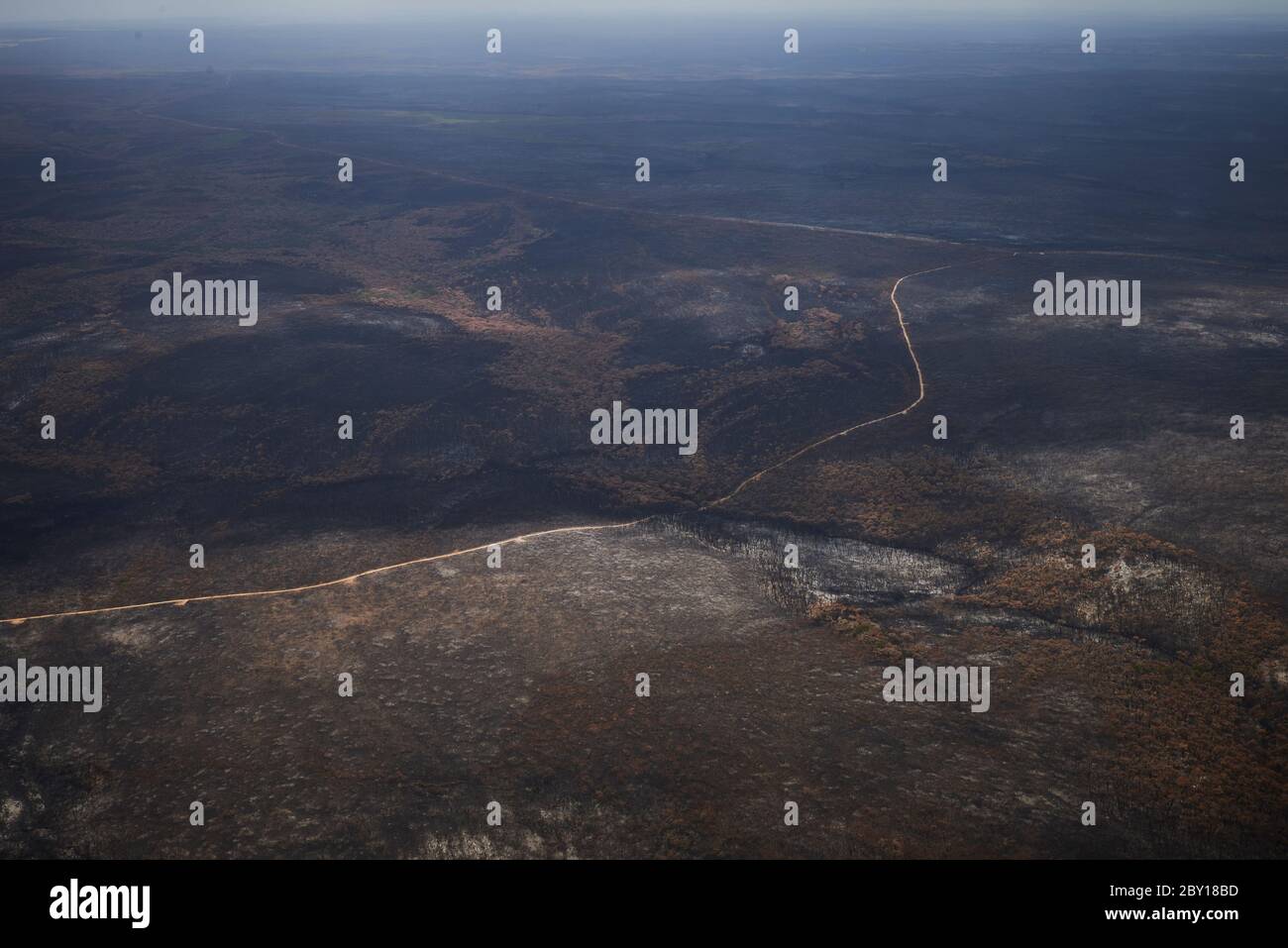 Le paysage dévasté de Kangaroo Island redonne lentement vie à la fin de février 2020. Banque D'Images