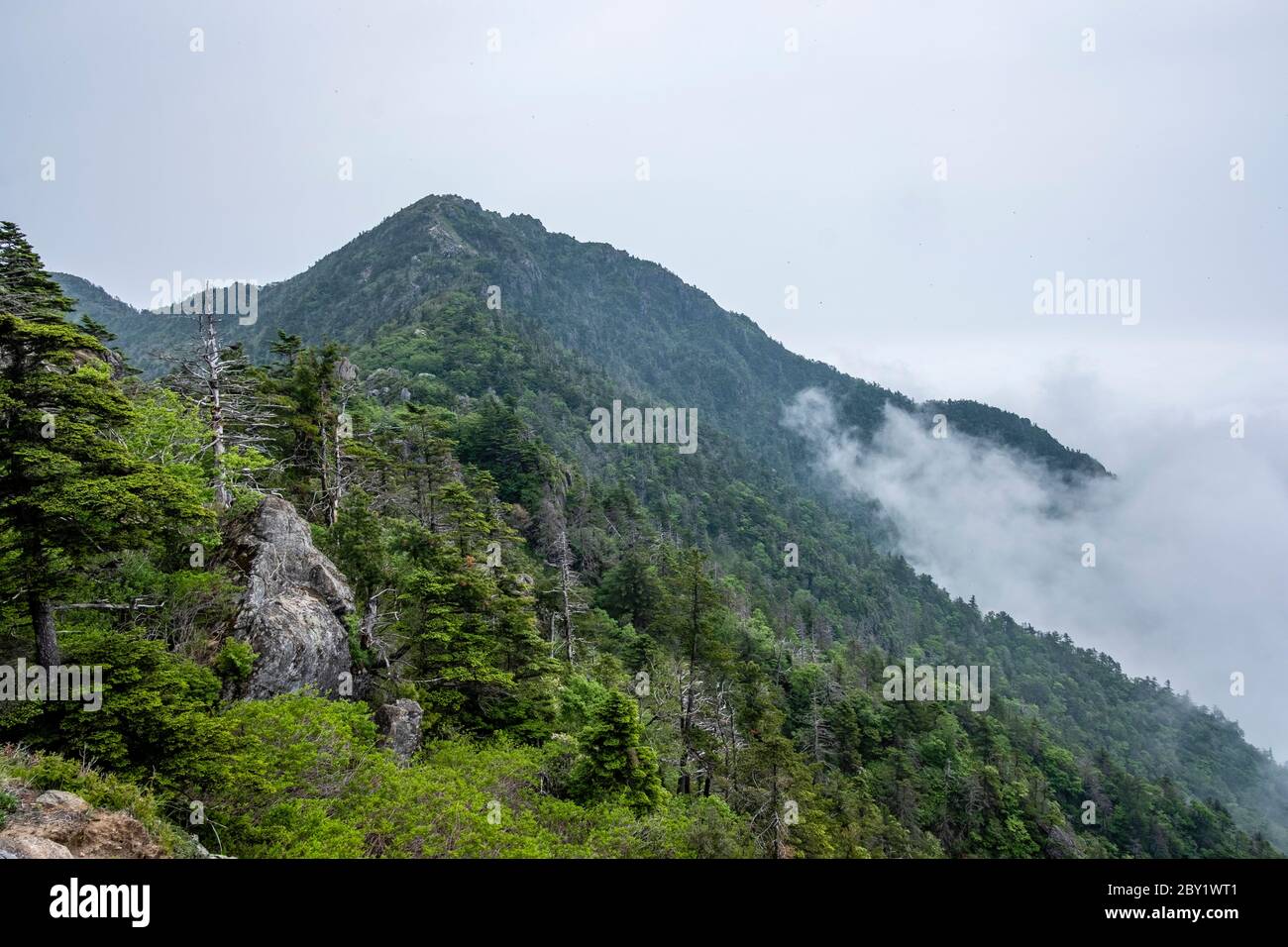 Cheonwangbong, sommet le plus élevé du Mont Jirisan (1 915 m) au-dessus des nuages et du brouillard Banque D'Images