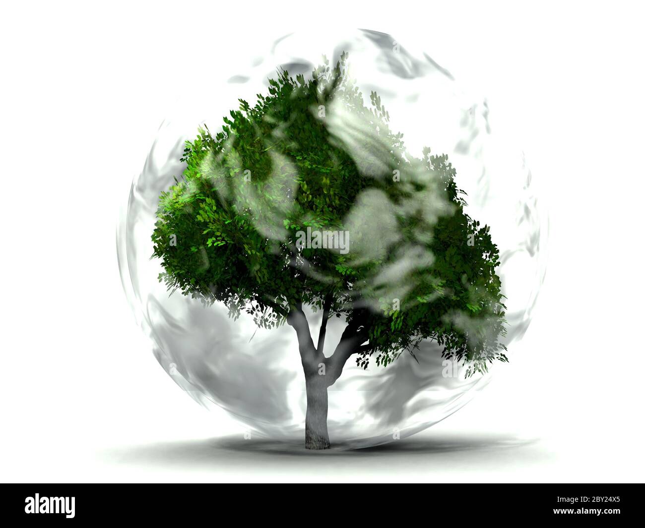 arbre et fumée Banque D'Images