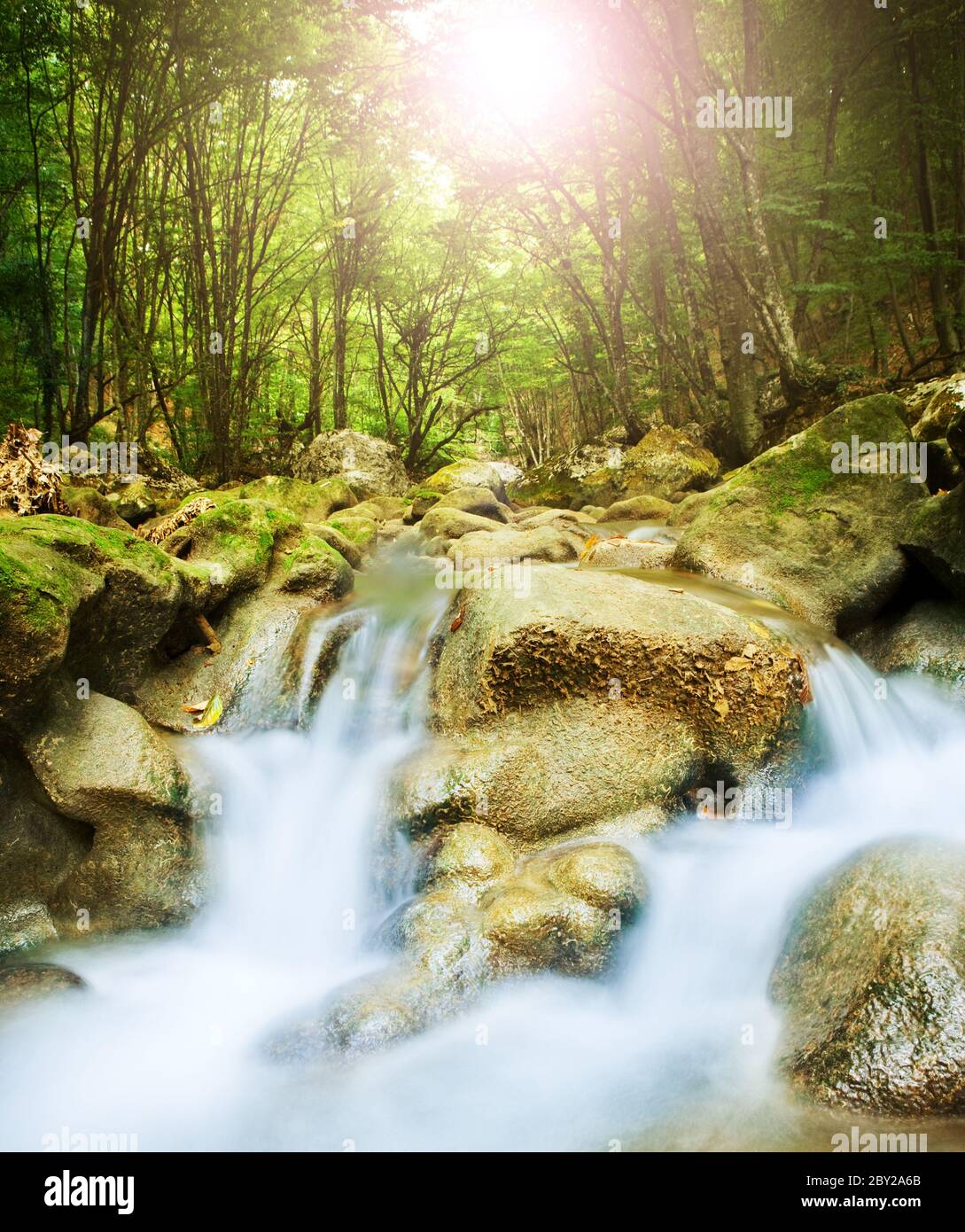 Belle cascade en bois de montagne, longue exposition Banque D'Images
