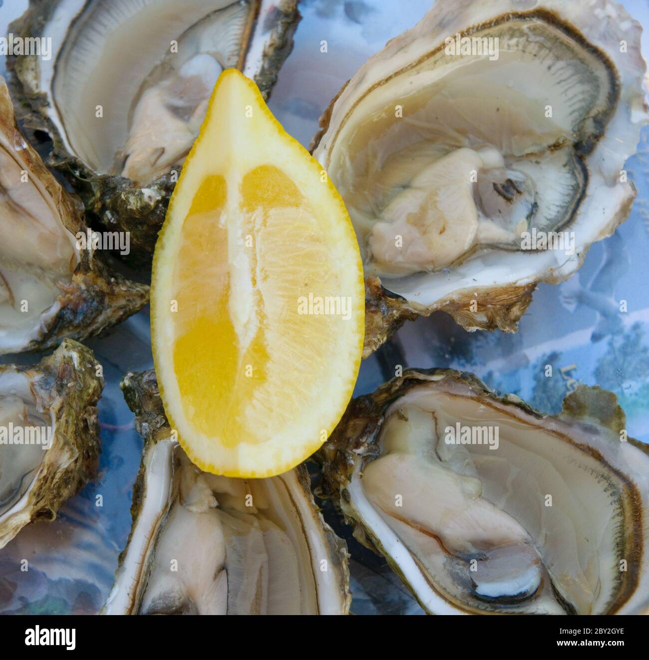 huîtres fraîches et citron Banque D'Images