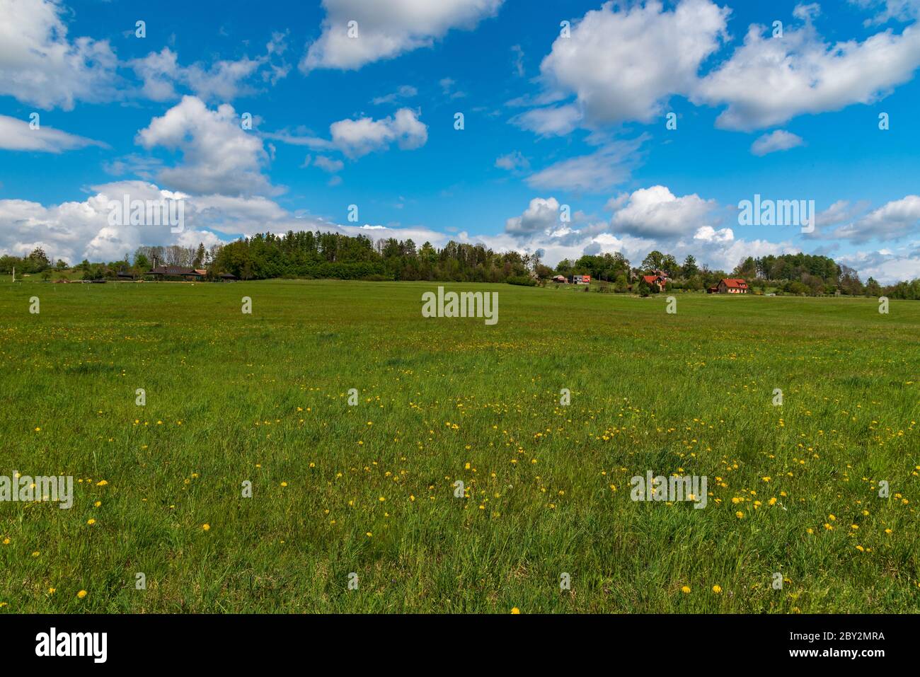 Paysage rural printanier avec prairie, quelques maisons, arbres et ciel bleu avec nuages près du village de Tranovice en République tchèque Banque D'Images