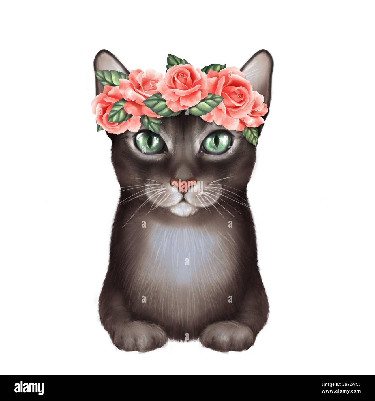 Chat noir avec roses. Isolé sur fond blanc Banque D'Images